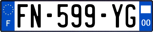 FN-599-YG