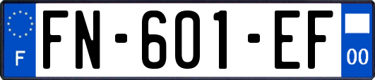 FN-601-EF