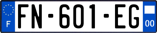 FN-601-EG