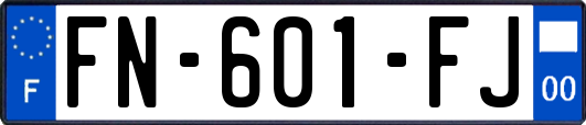 FN-601-FJ