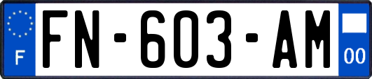 FN-603-AM