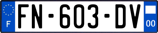FN-603-DV