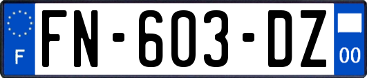 FN-603-DZ