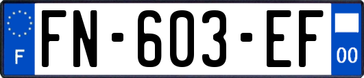 FN-603-EF
