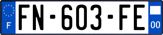 FN-603-FE