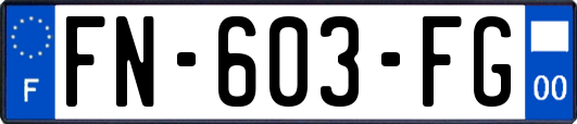 FN-603-FG