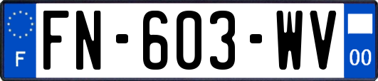 FN-603-WV