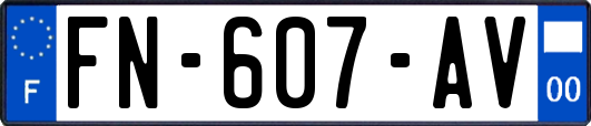 FN-607-AV