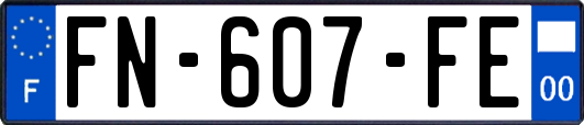 FN-607-FE