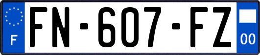 FN-607-FZ