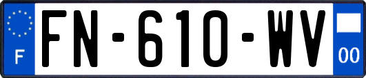 FN-610-WV