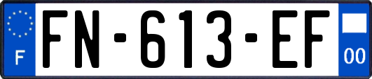 FN-613-EF