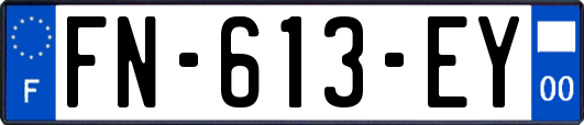 FN-613-EY