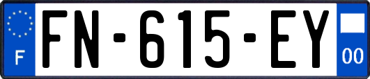 FN-615-EY