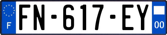 FN-617-EY