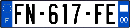 FN-617-FE