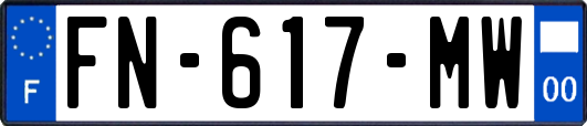 FN-617-MW