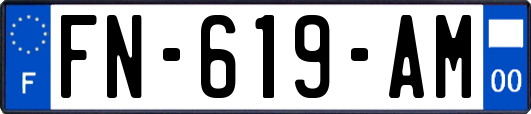 FN-619-AM