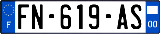 FN-619-AS