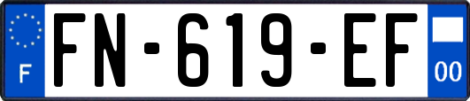 FN-619-EF