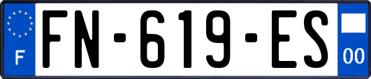 FN-619-ES