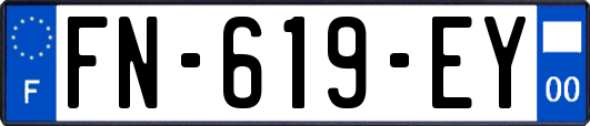 FN-619-EY
