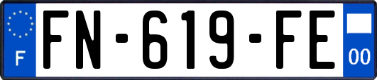 FN-619-FE