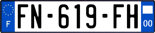 FN-619-FH