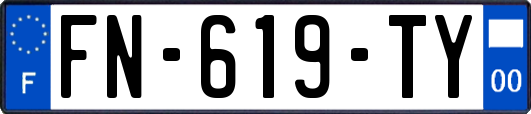 FN-619-TY