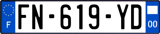 FN-619-YD