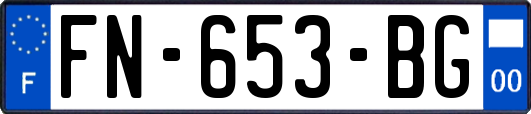 FN-653-BG