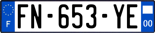 FN-653-YE