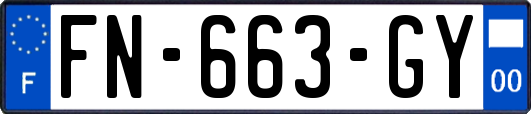 FN-663-GY