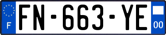 FN-663-YE