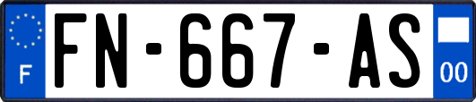 FN-667-AS