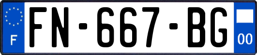 FN-667-BG