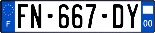 FN-667-DY