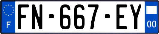 FN-667-EY
