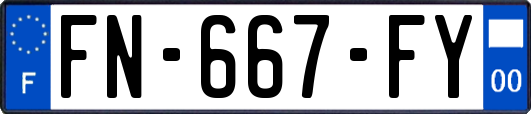 FN-667-FY