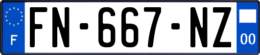 FN-667-NZ