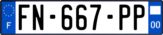 FN-667-PP
