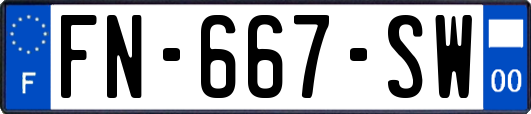 FN-667-SW