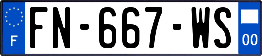 FN-667-WS