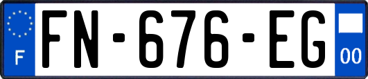 FN-676-EG