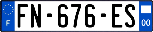 FN-676-ES