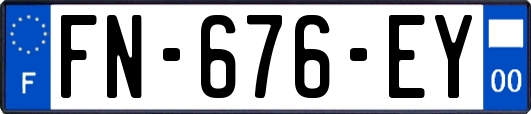 FN-676-EY
