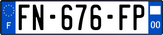 FN-676-FP