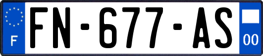 FN-677-AS