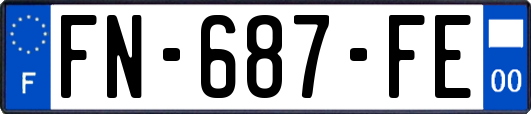 FN-687-FE