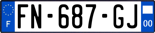 FN-687-GJ